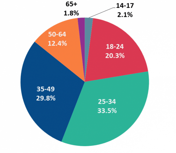 bnpl usage